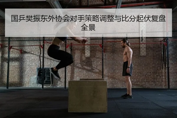 国乒樊振东外协会对手策略调整与比分起伏复盘全景