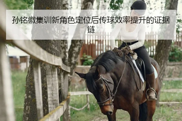 孙铭徽集训新角色定位后传球效率提升的证据链